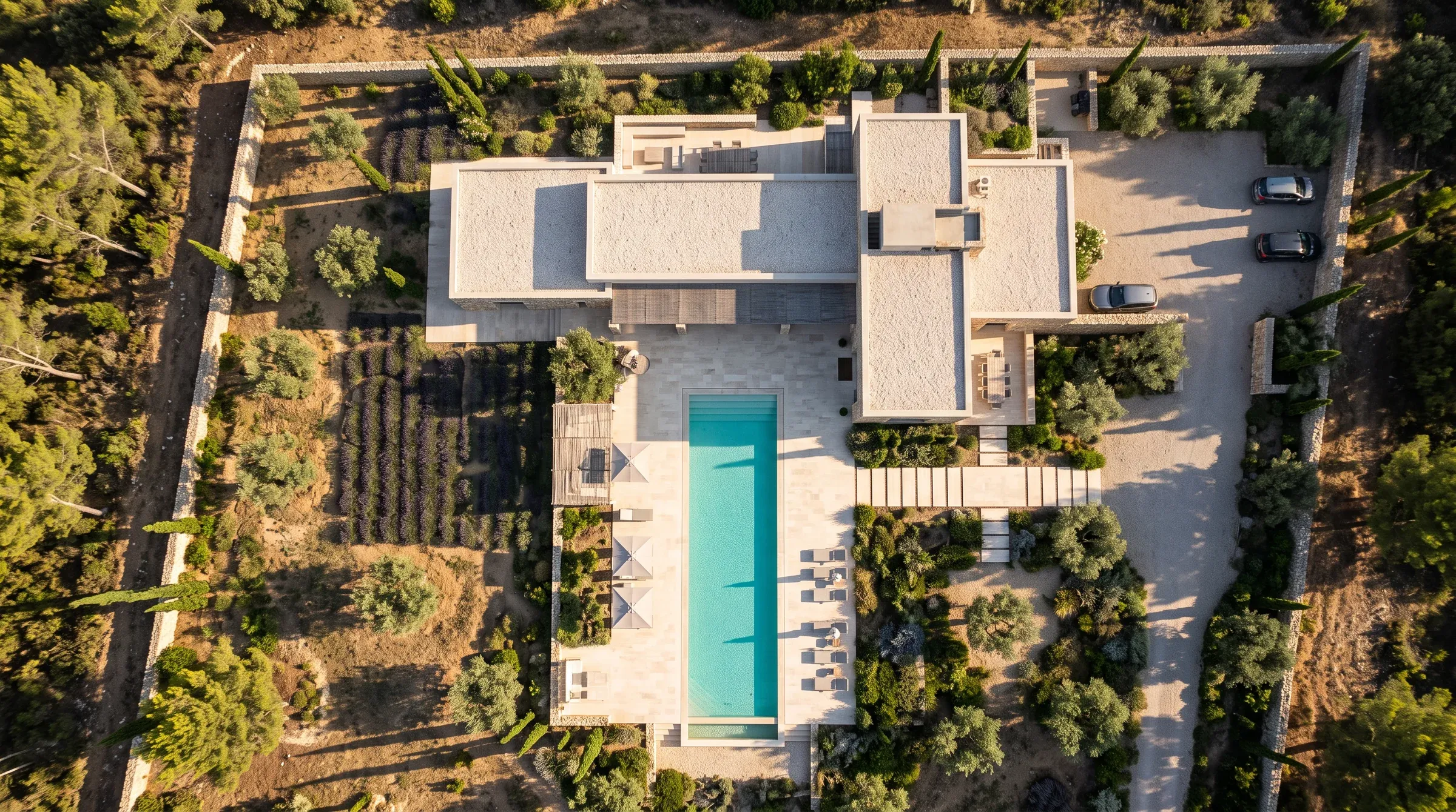 A Mediterranean villa seen from above: flat roofs, a pool, olive trees and rows of lavender, long evening shadows.